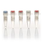 Thermo.F530S 	Phusion High-Fidelity DNA Polymerase 	100 units