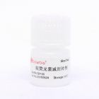 索莱宝	s2100-5mL	抗荧光衰减封片剂	5ml