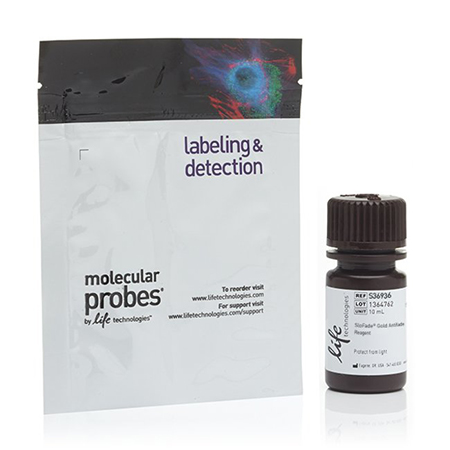 Invitrogen	S36936 	SlowFade Gold Antifade Mountant	10ml