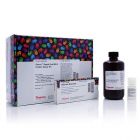 Thermo.A53226	Pierce™ Rapid Gold BCA Protein Assay Kit	250ml