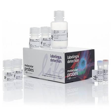 Invitrogen	C10634	Click-iT™ Plus EdU Alexa Fluor™ 647 Flow Cytometry Assay Kit  50 assays
