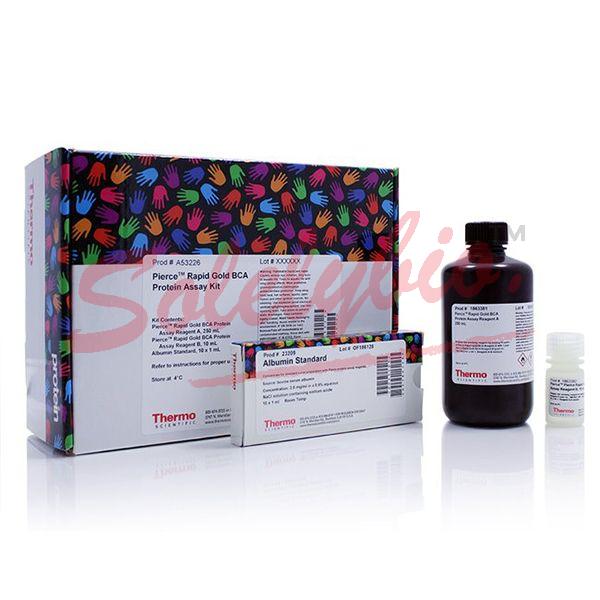 Thermo.A53226 Pierce™ Rapid Gold BCA Protein Assay Kit 250ml_Invitrogen