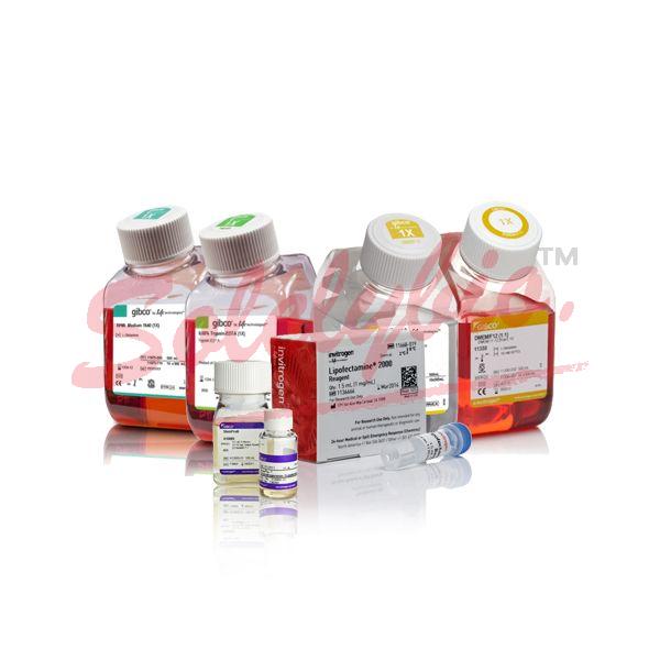 Invitrogen Am9938 Nuclease Free Water Not Depc Treated 1 X 100 Ml