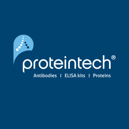 proteintech.10375-2-AP	MMP9 (N-Terminal) Polyclonal Antibody	50ul