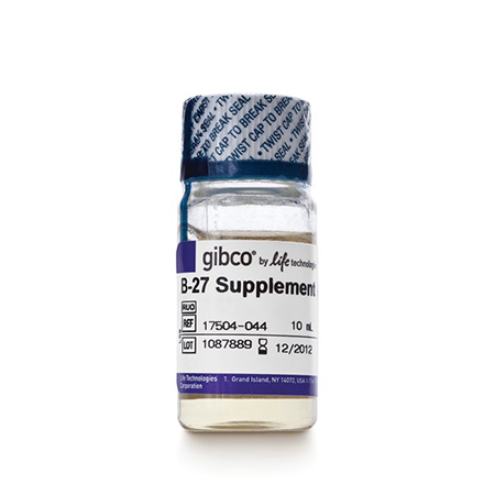 Invitrogen	17504-044	B-27® Serum-Free Supplement (50X), Liquid	10 mL
