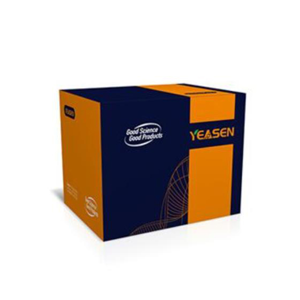 yeasen.20315ES05  	5×SDS-PAGE Protein Loading Buffer 5×SDS-PAGE蛋白上样缓冲液	2x1ml