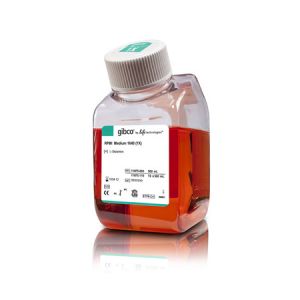 Thermo.11875093	gibco RPMI 1640 Medium 	500 mL