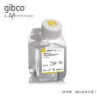 Invitrogen	21056-023	IMDM, no phenol red	500 mL