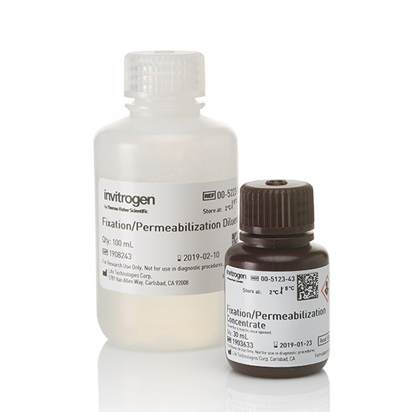 Invitrogen.00-5521-00 	eBioscience™ Foxp3 / Transcription Factor Fixation/Permeabilization Concentrate and Diluent	1 kit