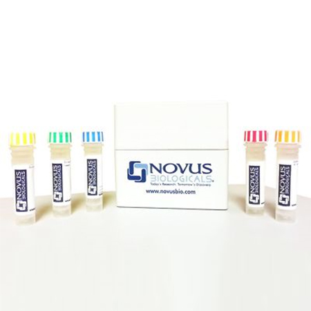 novus.NBP1-77080SS	NLRP3/NALP3 Antibody	0.025 mg