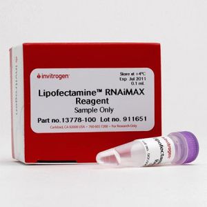 Invitrogen 13778-100   Lipofectamine™ RNAiMAX Transfection Reagent   0.1 mL