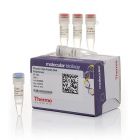 Thermo.F530L 	Phusion High-Fidelity DNA Polymerase (2 U/µL)	500 units