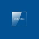 Corning.CLS3413-48EA	Transwell  聚碳酸酯膜细胞培养插入物  	48EA