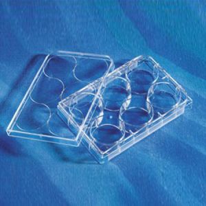 Corning.3516，6孔细胞培养板，透明，TC表面，1个/包，50包/箱