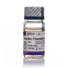 Invitrogen.51500056   Insulin, Transferrin, Selenium, Ethanolamine Solution (ITS -X), 100X   10 mL