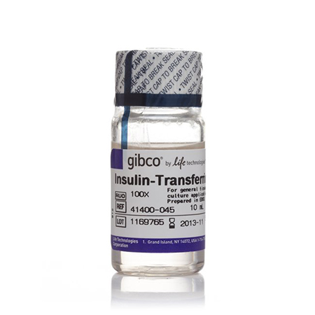 Gbico	41400045	Insulin, Transferrin, Selenium Solution (ITS -G), 100X   10 mL