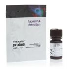 Thermo.P-36931	ProLong™ Gold Antifade Mountant with DAPI	10 mL