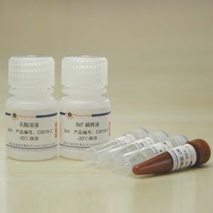 碧云天.C0016	乳酸脱氢酶细胞毒性检测试剂盒	100次