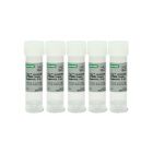 Biorad.1725124	iTaq™ Universal SYBR® Green Supermix, 2,500 x 20 µl rxns, 25 ml (5 x 5 ml) 